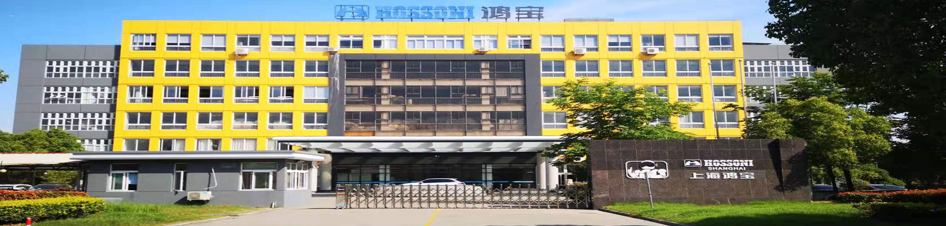 电子胃镜图片
